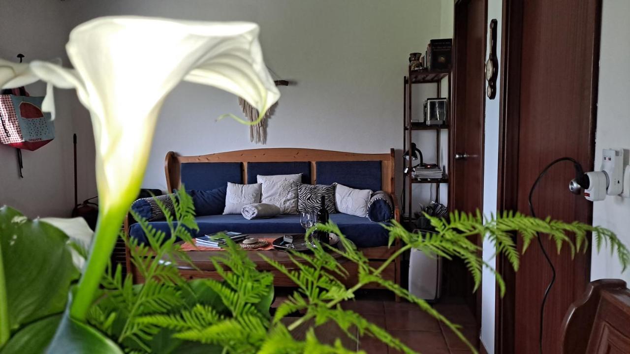 Casa Azul Villa Rabo de Peixe Kültér fotó